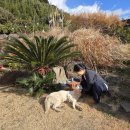 스테이 낭낭 | 제주도 서귀포 숙소 추천 | 감성 독채 숙소 스테이낭낭