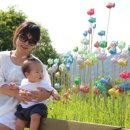 남해-310 이미지