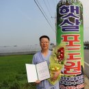 포도원편지