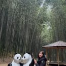 추단만월 이미지