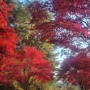 와룡천 캠핑장 이미지