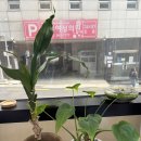 카야헤어 | 사하구메이크업 잘하는 곳에서 자신감 메이크업 받고 나온 날 :: 카야헤어스타일리스트