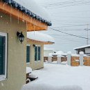 잠잠비치 이미지