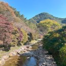팔덕면 창덕로 전북 네이버블로그