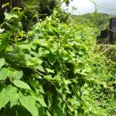 노바골프 이미지