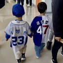 스카이21 | 대구 삼성라이온즈파크 2025 블루웨이브 후기 (3루 스카이 상단 U-21구역 18열 뷰)