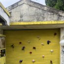 라포르하례 이미지