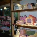 강남애니동물병원 이미지