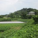 등리보건진료소 | 부동산 풍수지리, 용(龍)
