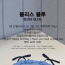캐주얼케이크