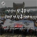 8월 14일 임시 공휴일 뉴스모음 이미지