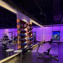 독보짐 | 고성동 PT 바디엔지니어스짐 — “제대로 배우고, 확실히 변화하는” 프리미엄 피티센터 후기