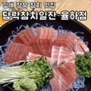 담락참치일잔장림점 | 김해 일식 술집 추천 가성비 참치 율하2지구 맛집 담락참치일잔 방문 후기