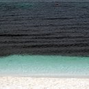 우도기행 이미지