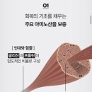 리젠 | 운동 후 음료 추천! 아미노리젠 오리지널 사과맛 솔직 후기