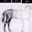 무양반려동물병원 이미지