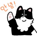 연수동사진관 이미지
