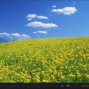 포크기타 (연주) 이미지