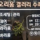 디오리움갤러리수족관