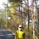 임천중학교 이미지