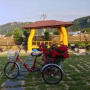 안동마애원두막펜션 이미지