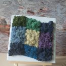 공기정화 스칸디아모스 만들기 이미지