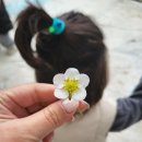 평궁길 | 가치있는 농장 평택 딸기체험 내돈내산 찐후기