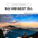 태평여행사 이미지
