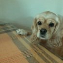 희구농장 이미지