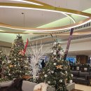 화개약국 | 르메르디앙 에뚜왈 파리(1), 커넥팅룸 3021호 킹베드룸(욕조)