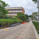 진흥초교 이미지