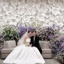 트로트 가수 은가은,박현호 결혼식 공개 홍석천,코요태 신지 인스타그램 인증 이미지