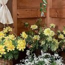 더가드너 이미지