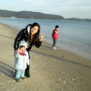 신지명사십리해수욕장 이미지