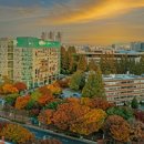 내가 하는 스스로 정리법 이미지