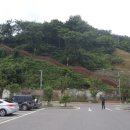 벌교읍사무소 이미지