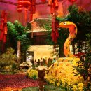 벨라지오 이미지