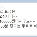 몽이네펫택시 이미지