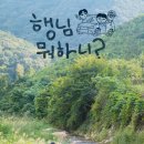 봉곡마을회관 | 행님뭐하니 진안 마이산 절 카트 냇가 촬영지 여행코스