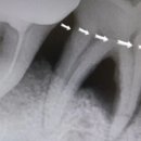용현서울치과의원 이미지