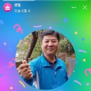 26.5.31(일)전주한옥마을 다녀옴 이미지