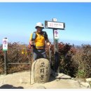 고향산장 이미지