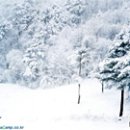 찐빵목장 이미지