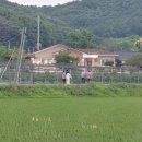 김태동 농장 이미지