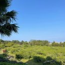 성산파라다이스힐 | [제주여행] 성산일출봉 근처 숙소 추천/성산 파라다이스힐 후기