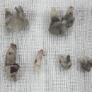 한라동물종합병원 이미지