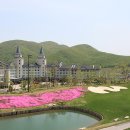 하이원 컨트리클럽 이미지