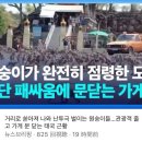 시오 이미지