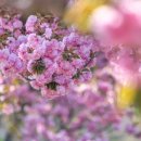 경안천 전대리 이미지