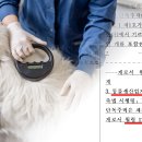 한국복지정보통신협의회사 이미지